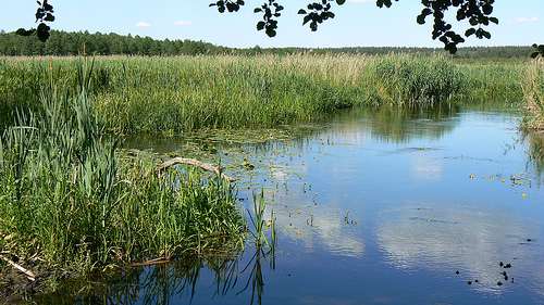 Dolina Rospudy - widoki