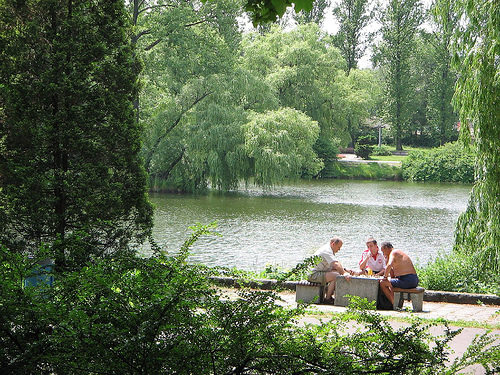 Katowice, park