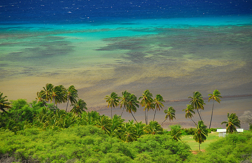 wyspa Maui