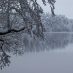 Polskie jeziora w zimowej odsłonie